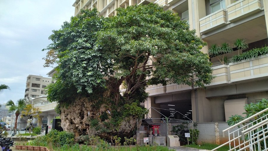 🪨 나카시마의 큰 바위(나카시마노우후시) 이미지 4